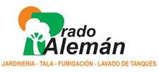 Prado Aleman